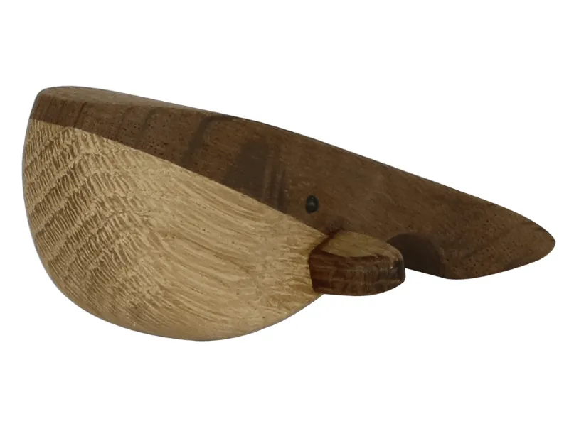 Blue Whale - NH20261